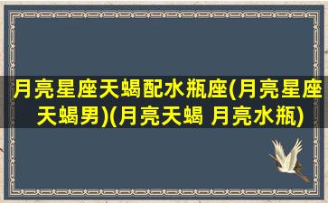 月亮星座天蝎配水瓶座(月亮星座天蝎男)(月亮天蝎 月亮水瓶)